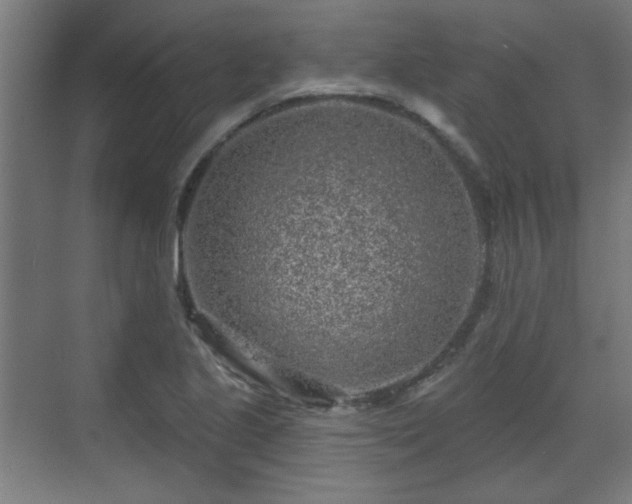 X0000071341221200606261307