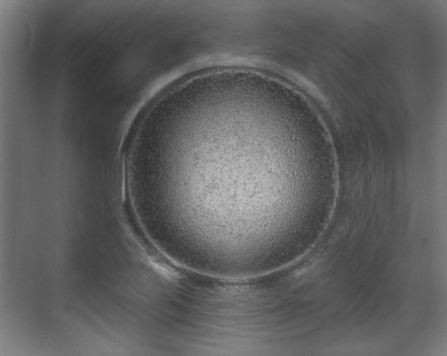 X0000071341223200606261307