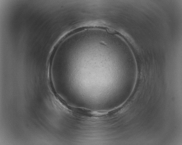 X0000071341224200606261307