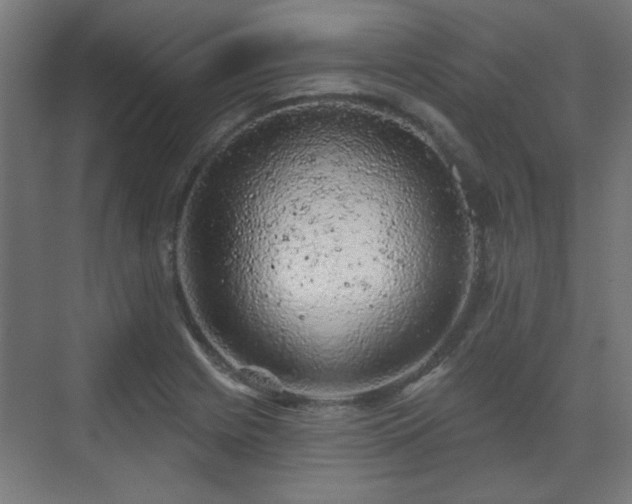 X0000071341225200606261307