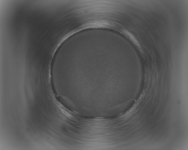 X0000071341226200606261307