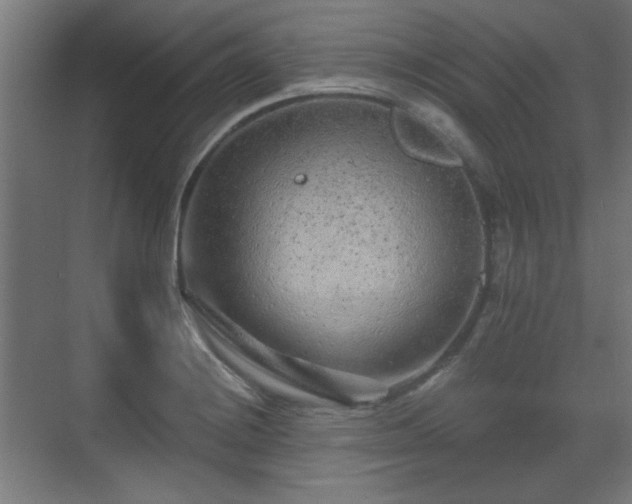 X0000071341228200606261307