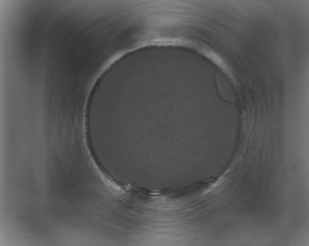 X0000071341229200606261307