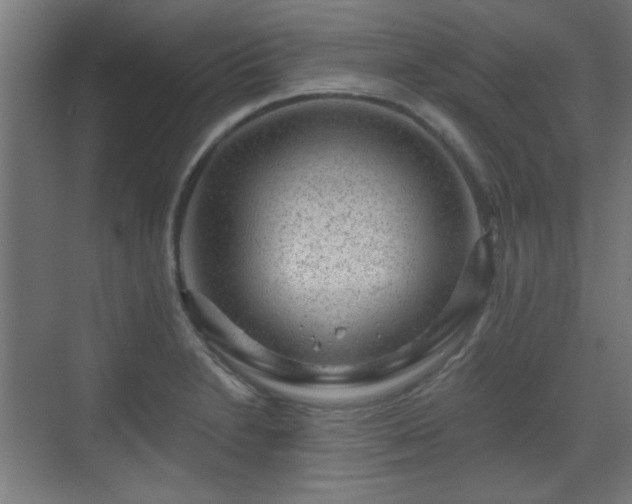 X0000071341230200606261307