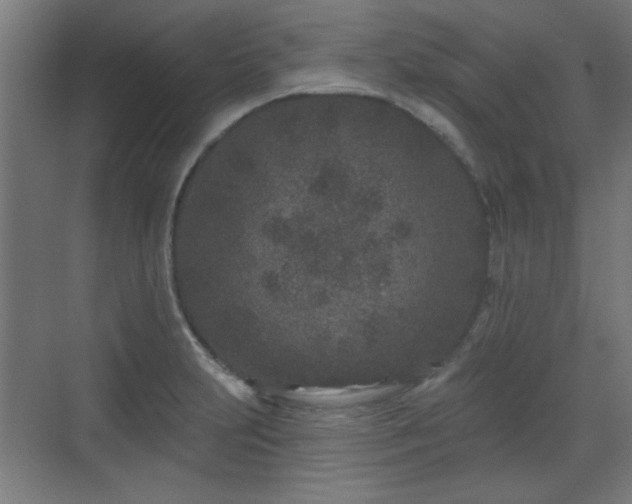 X0000071341231200606261307