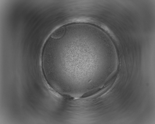 X0000071341232200606261307