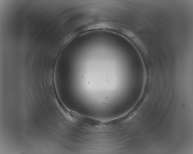 X0000071341233200606261307