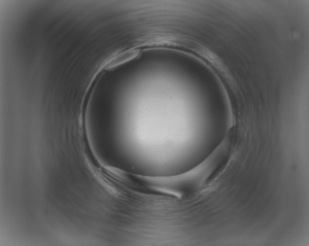 X0000071341234200606261307