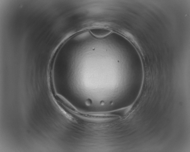 X0000071341235200606261307