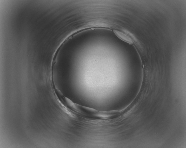 X0000071341236200606261307