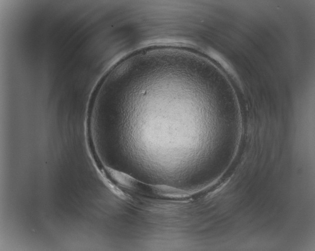 X0000071341237200606261307