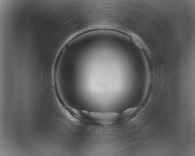 X0000071341238200606261307