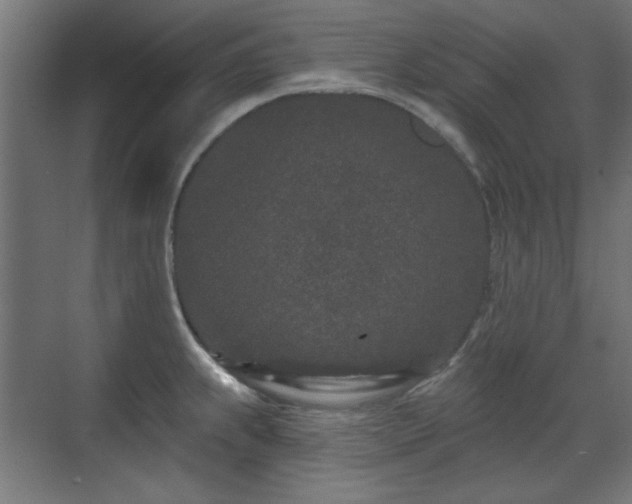 X0000071341239200606261307