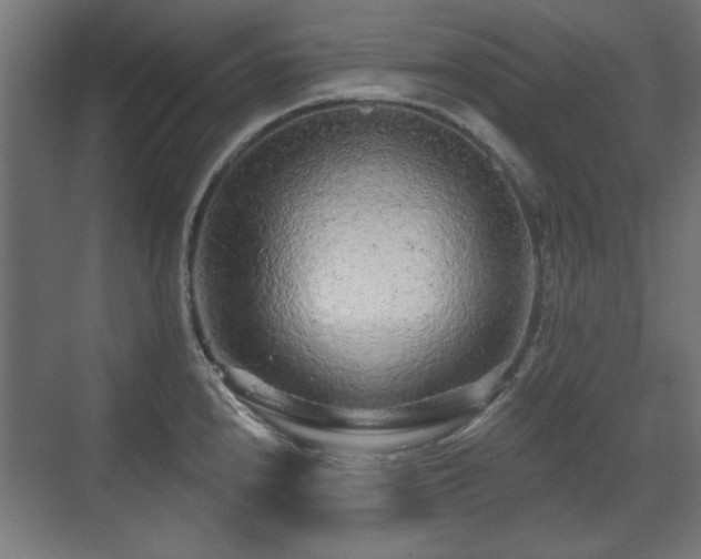 X0000071341240200606261307