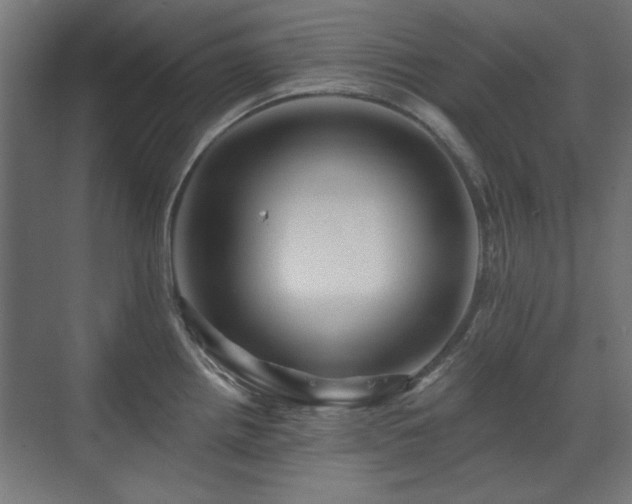 X0000071341242200606261307