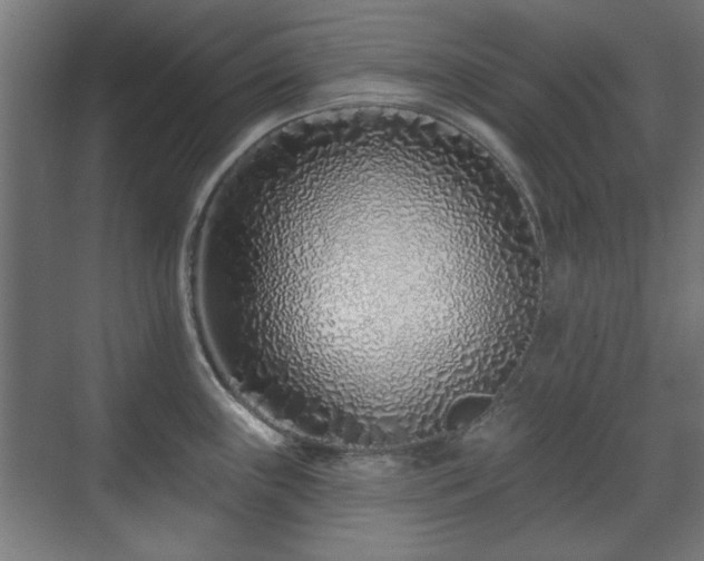 X0000071341243200606261307