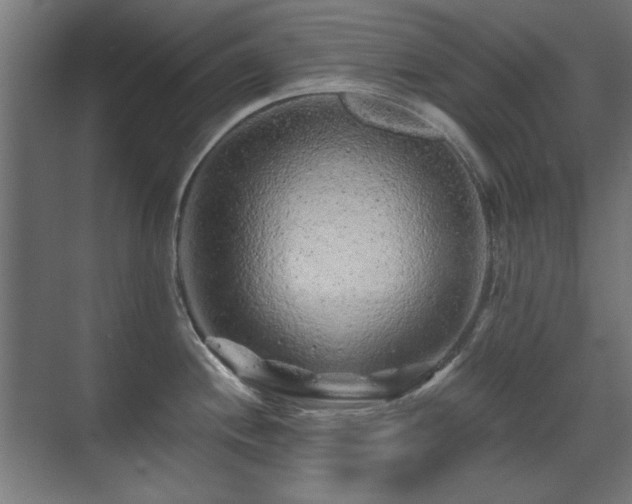 X0000071341244200606261307