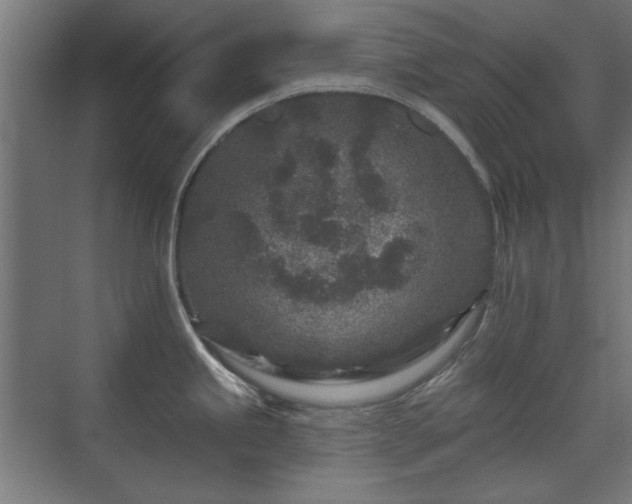 X0000071341245200606261307