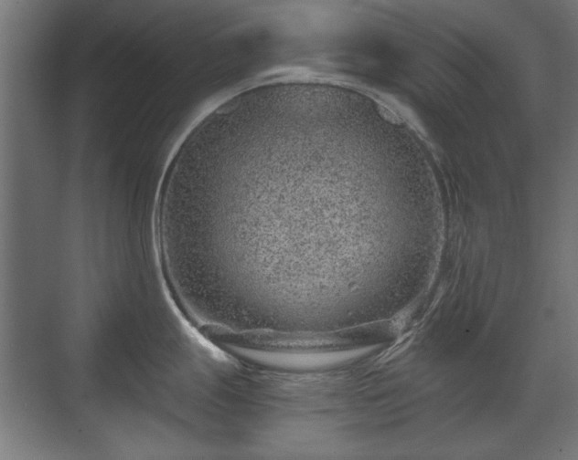 X0000071341247200606261307