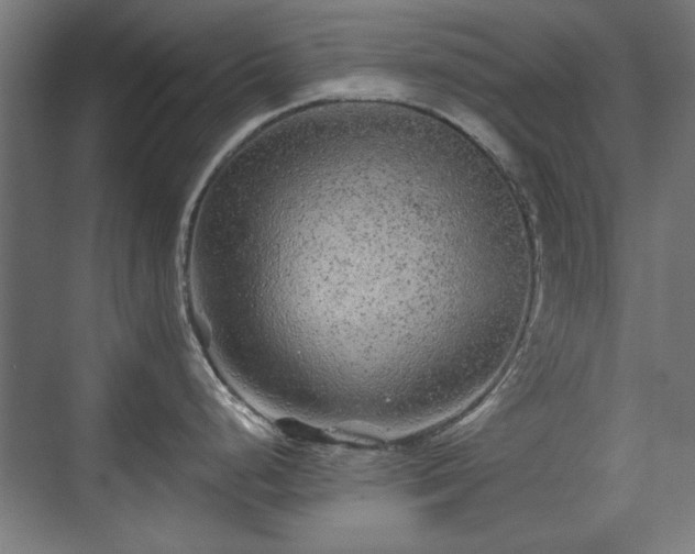 X0000071341248200606261307