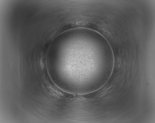 X0000071341250200606261306