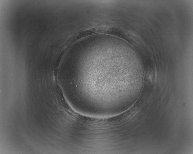 X0000071341252200606261306