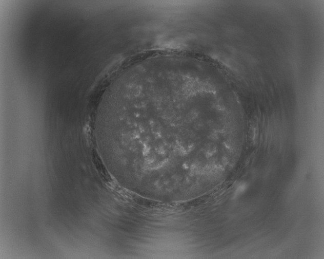 X0000071341254200606261306