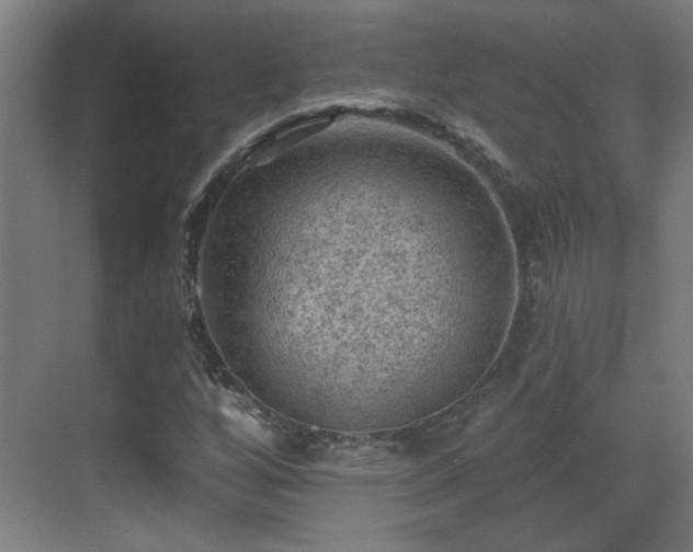 X0000071341256200606261306