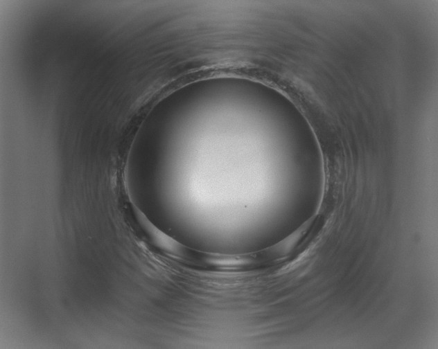 X0000071341257200606261306