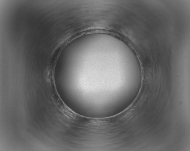 X0000071341258200606261306