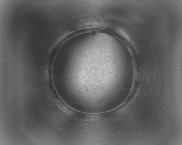 X0000071341259200606261306