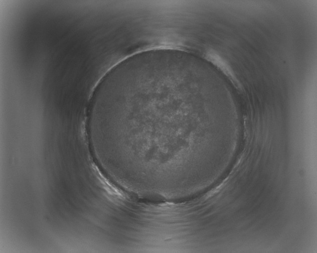 X0000071341260200606261306