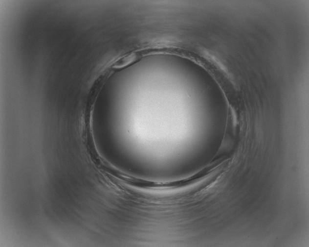 X0000071341261200606261306