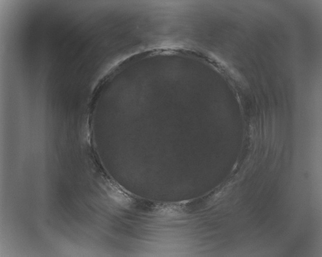 X0000071341262200606261306