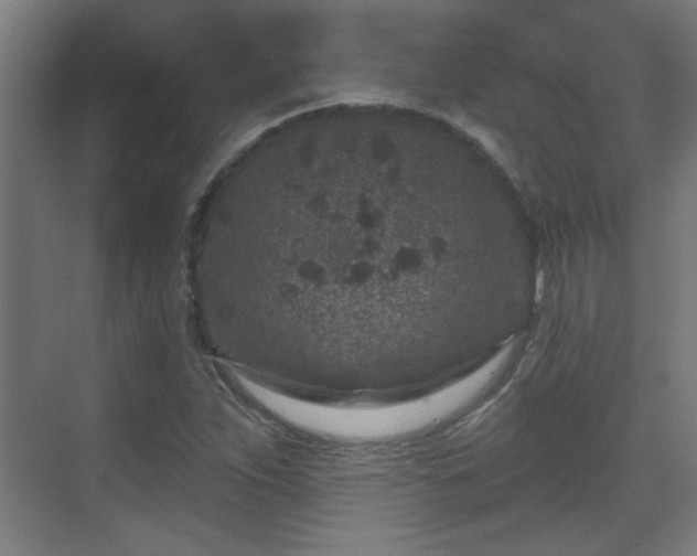 X0000071341263200606261306