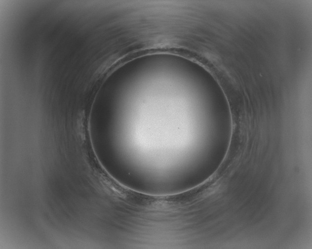 X0000071341265200606261306