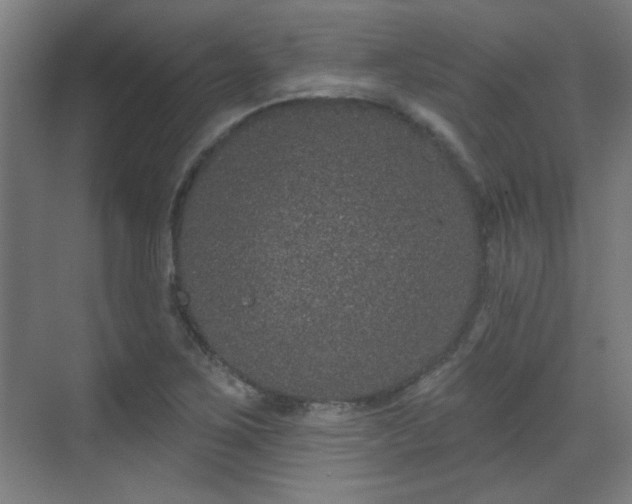 X0000071341267200606261306