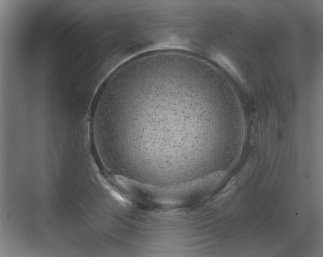 X0000071341268200606261306