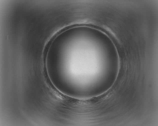 X0000071341270200606261306