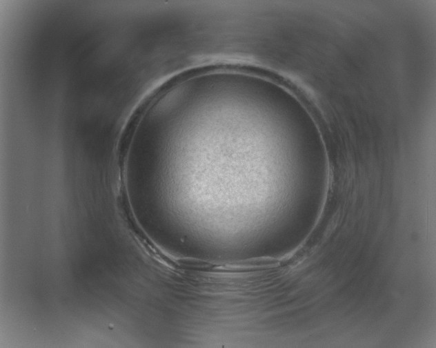 X0000071341271200606261306