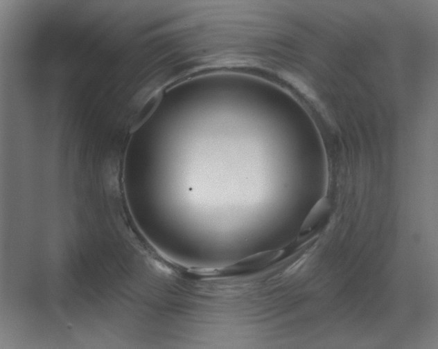 X0000071341273200606261306