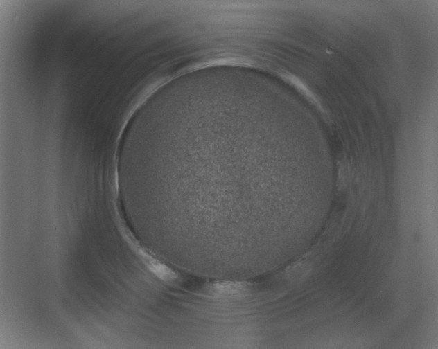 X0000071341274200606261306