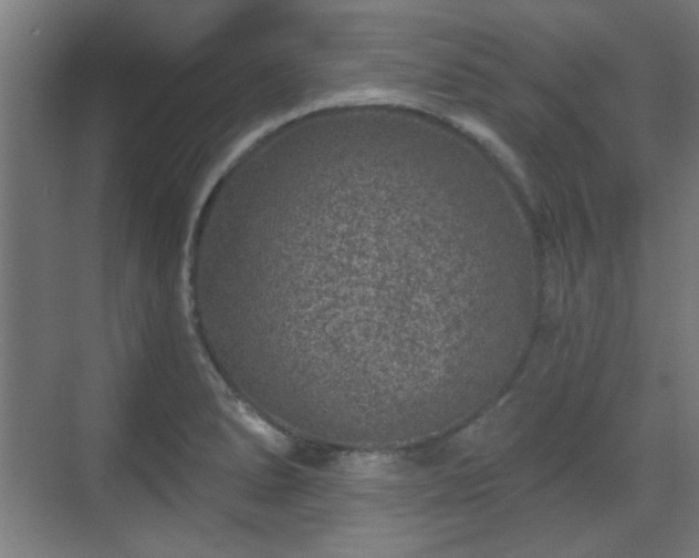 X0000071341278200606261306