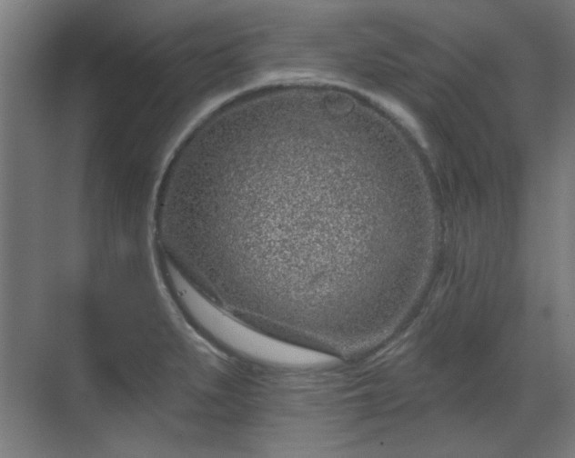 X0000071341279200606261306