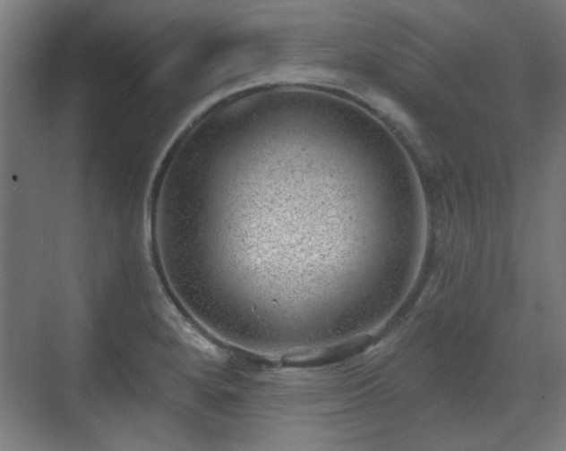 X0000071341280200606261306