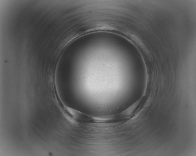 X0000071341281200606261306