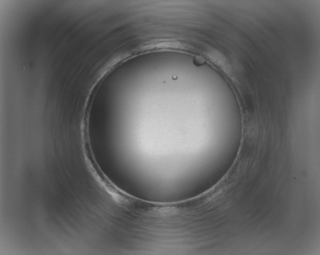 X0000071341282200606261306