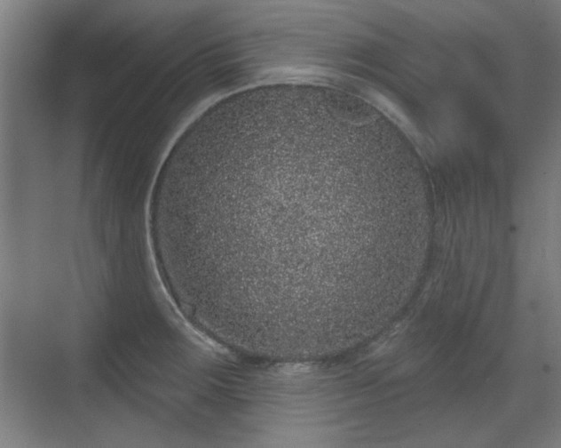 X0000071341283200606261306