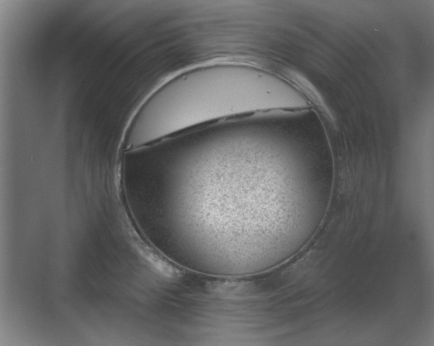 X0000071341284200606261306