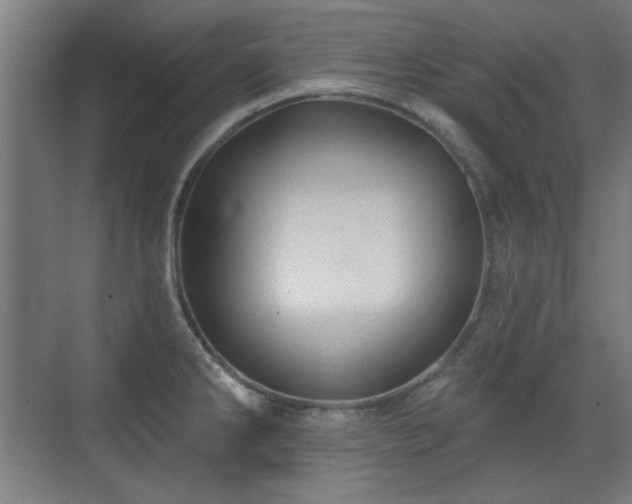 X0000071341286200606261306